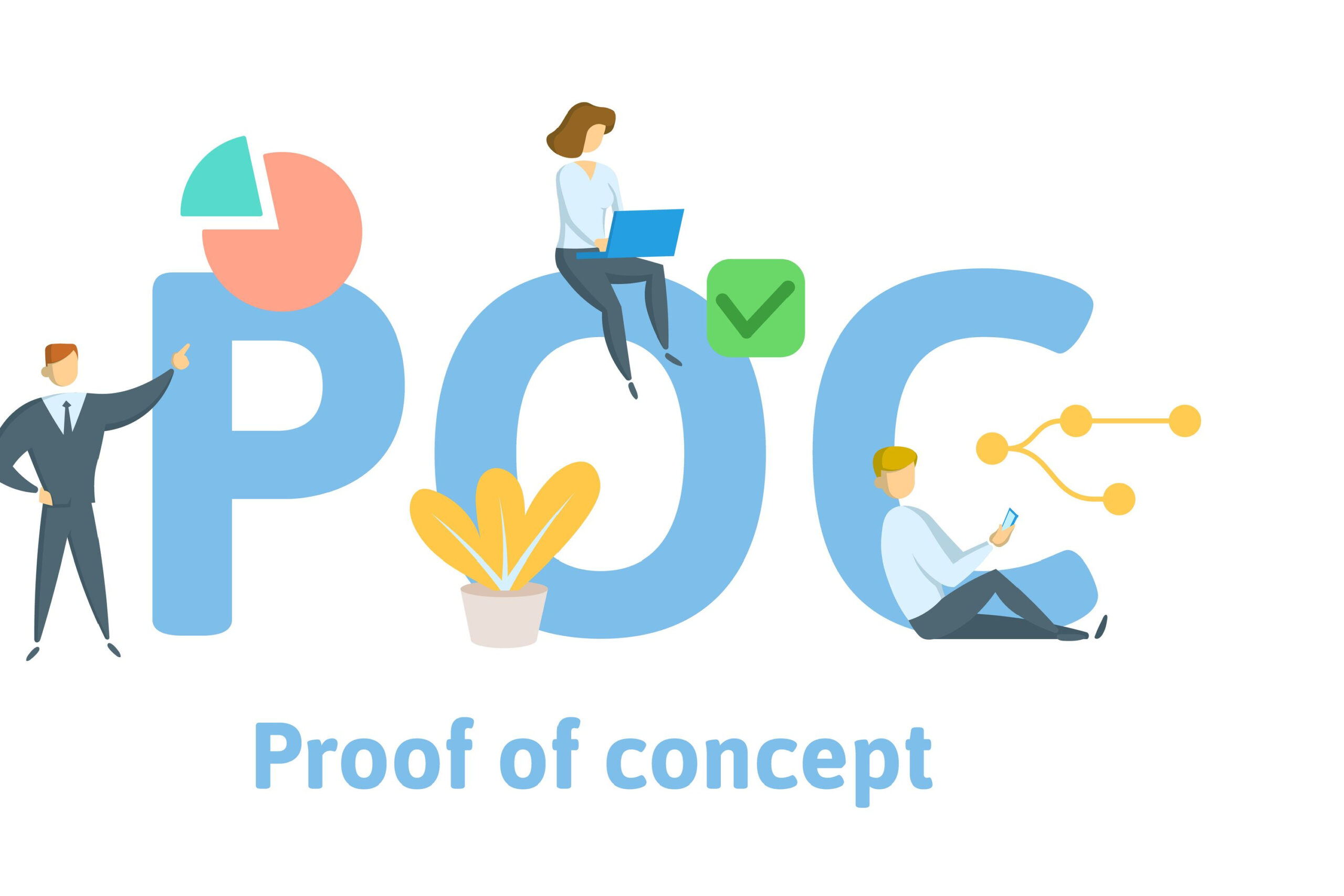 Proof Of Concept (POC). A Starting Point For Software Product Development