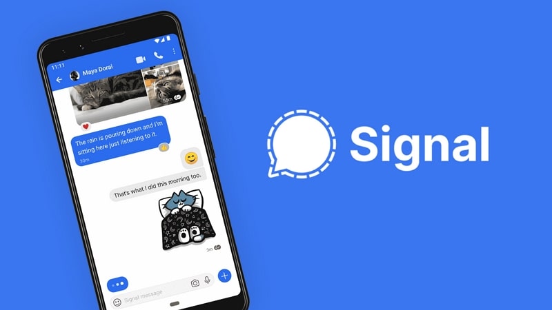 best live chat app signal