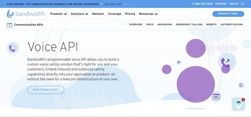 bandwidth voice call api