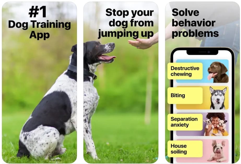 best app for dog training - everydoggy