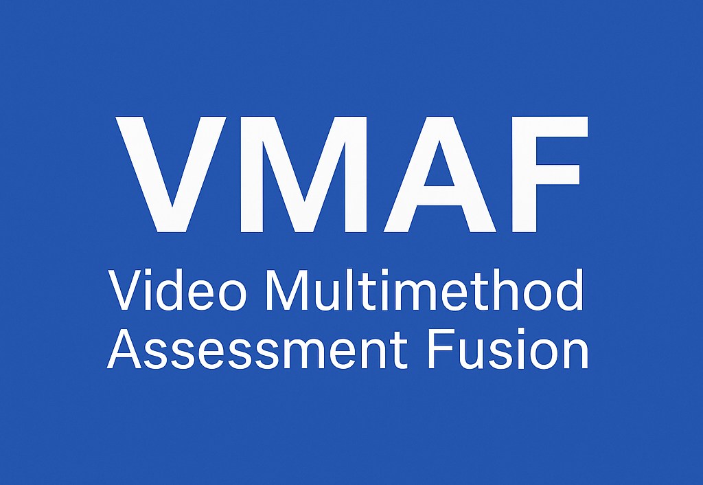 What is Video Multimethod Assessment Fusion?
