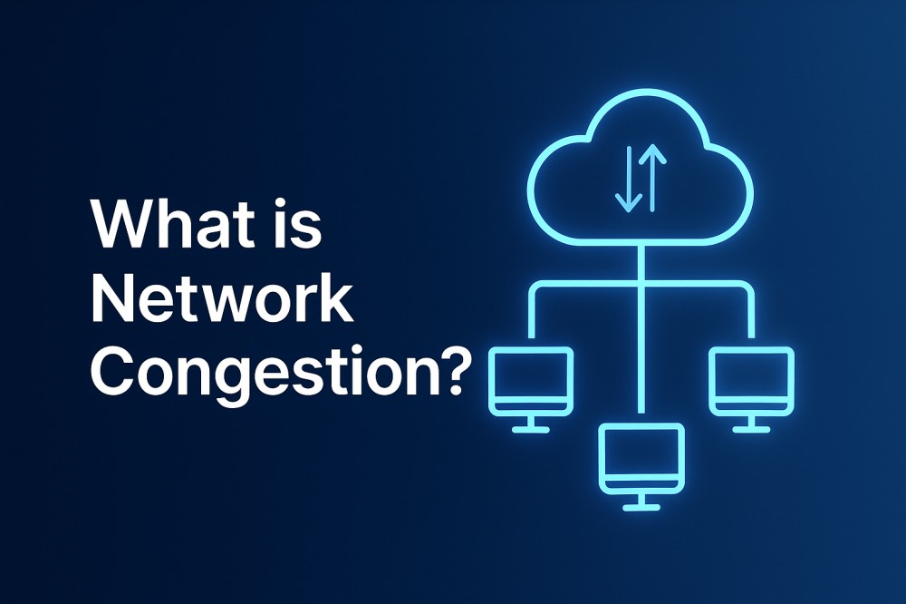 A Guide to Network Congestion