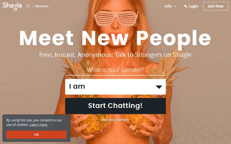 sites like chatroulette - shagle