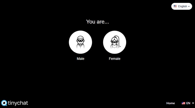 chatroulette style sites - tnychat