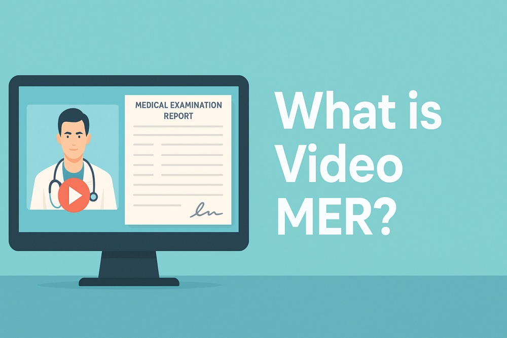 What is Video MER？