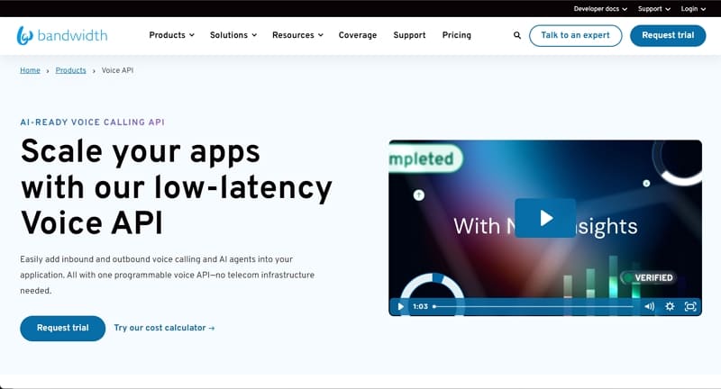 ai voice api- bandwidth