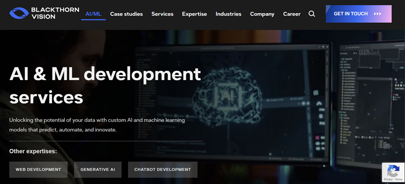 artificial intelligence development services - blackthorn vision
