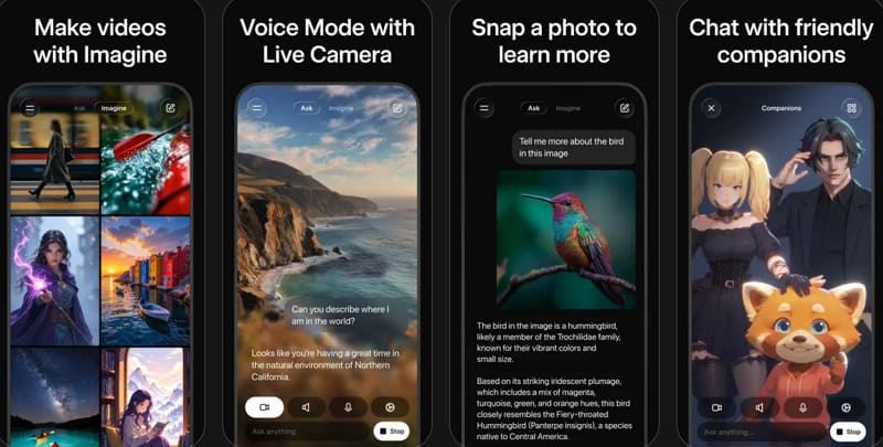ai companion app - grok ani